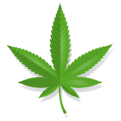CBD CBD
